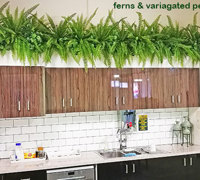New Campus requires greenery throughout...