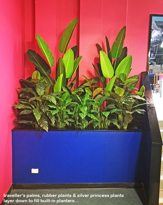 New Campus requires greenery throughout...