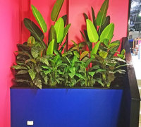 New Campus requires greenery throughout...