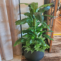 Ginger Plant 1.3m - artificial plants, flowers & trees - image 1