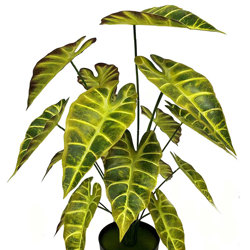 Anthurium 'lace-leaf' - artificial plants, flowers & trees - image 2