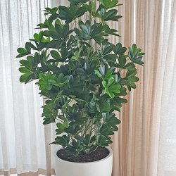 Mini-Umbrella Plant 1.5m - artificial plants, flowers & trees - image 4