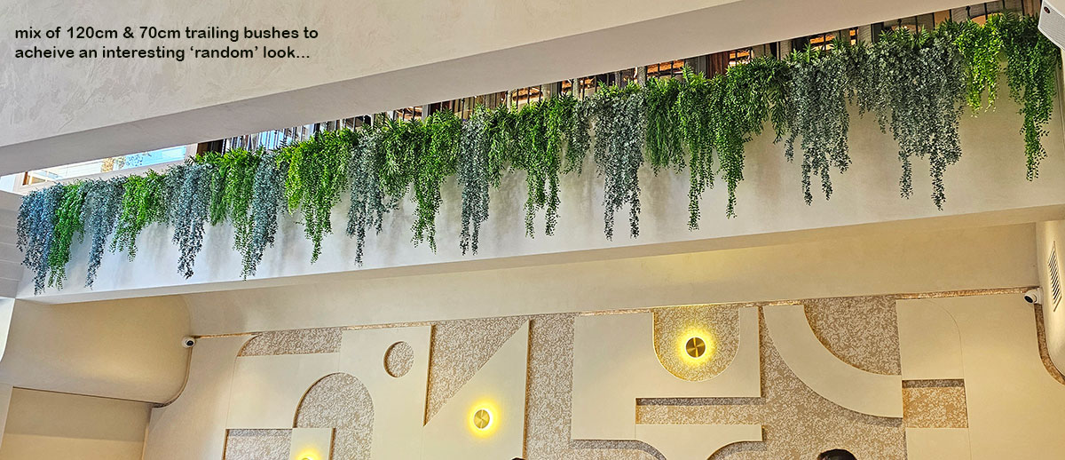 UV-Trailer: 'Silver Falls' Fern 120cm