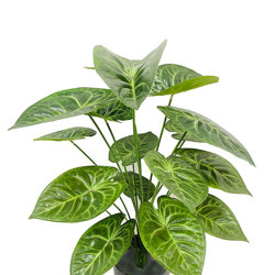 Anthurium 'lace-leaf' - artificial plants, flowers & trees - image 5