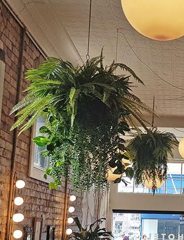 Artificial Hanging Plants / Wall Baskets