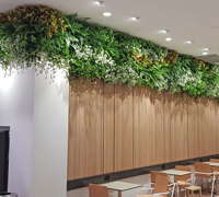 Before & After Shots..... Green-Walls 3