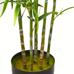 Bali Bamboo 1.6m - artificial plants, flowers & trees - image 1