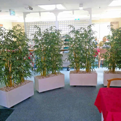 Bamboo 'thai gold' 1.5m - artificial plants, flowers & trees - image 2