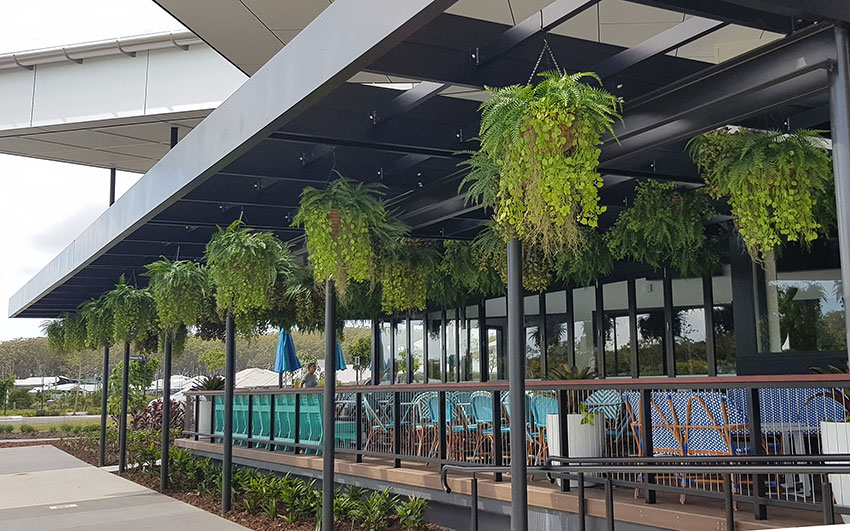 Before n After Shots..... Hanging-Baskets