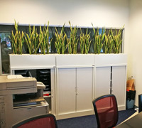 Office Planter revamp