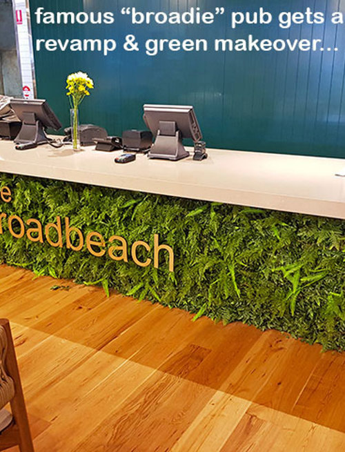 Modern Bar refurbishment & 'greenification'!