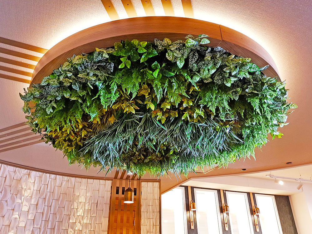 Modern Bar refurbishment & 'greenification'!