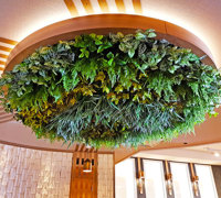 Modern Bar refurbishment & 'greenification'!