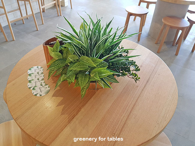 Modern Bar refurbishment & 'greenification'!