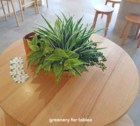 Modern Bar refurbishment & 'greenification'!
