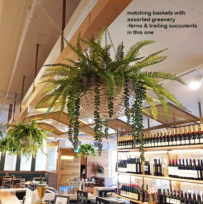 Modern Bar refurbishment & 'greenification'!