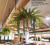 Modern Bar refurbishment & 'greenification'!