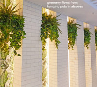 Modern Bar refurbishment & 'greenification'!