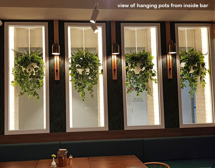 Modern Bar refurbishment & 'greenification'!