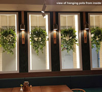 Modern Bar refurbishment & 'greenification'!