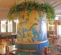 Modern Bar refurbishment & 'greenification'!