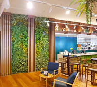 Modern Bar refurbishment & 'greenification'!