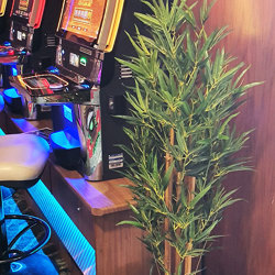 Bamboo 'thai gold' 1.5m - artificial plants, flowers & trees - image 1