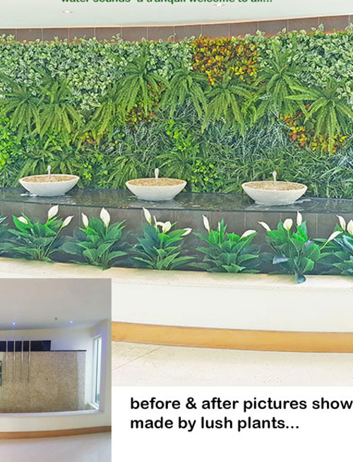 Before & After Shots..... Green-Walls 1