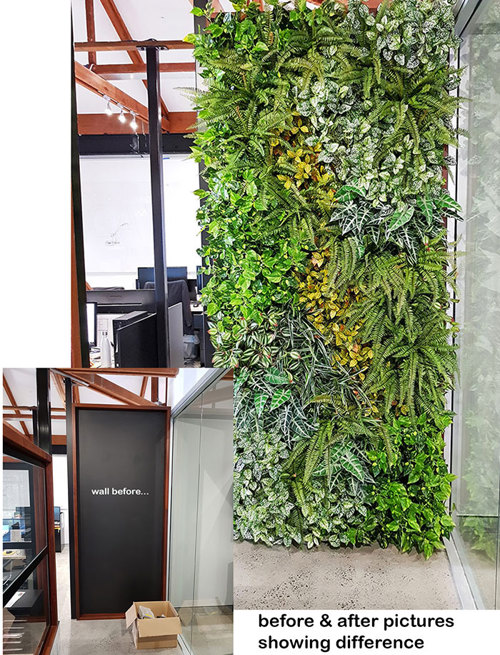 Before & After Shots..... Green-Walls 5
