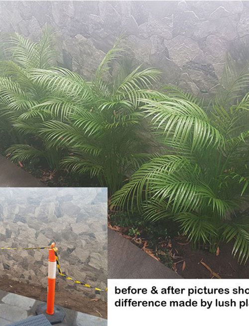 Before & After Shots..... Outdoor Planters
