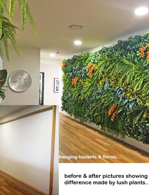 Before & After Shots..... Green-Walls 2