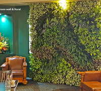 Before & After Shots..... Green-Walls 5