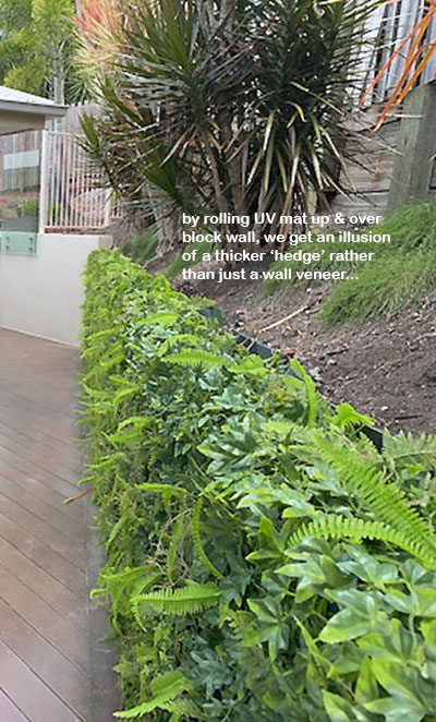 Turning an unsightly block wall into a green Feature...
