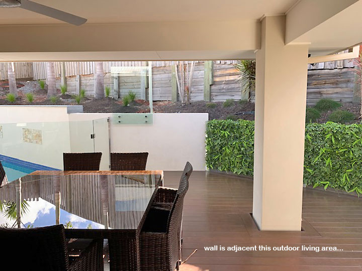 Turning an unsightly block wall into a green Feature...