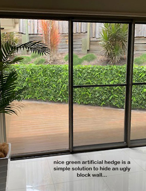 Turning an unsightly block wall into a green Feature...