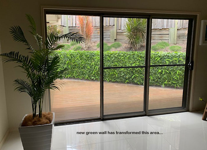 Turning an unsightly block wall into a green Feature...