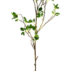 Leaf Sprays- Lilly Pilly - artificial plants, flowers & trees - image 2