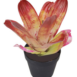 Bromeliad- light green in plastic pot   - artificial plants, flowers & trees - image 5