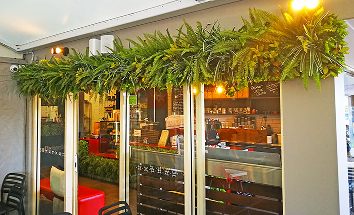 Cafe goes Green