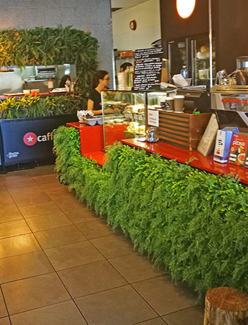 Cafe goes Green