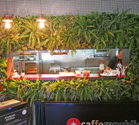 Cafe goes Green