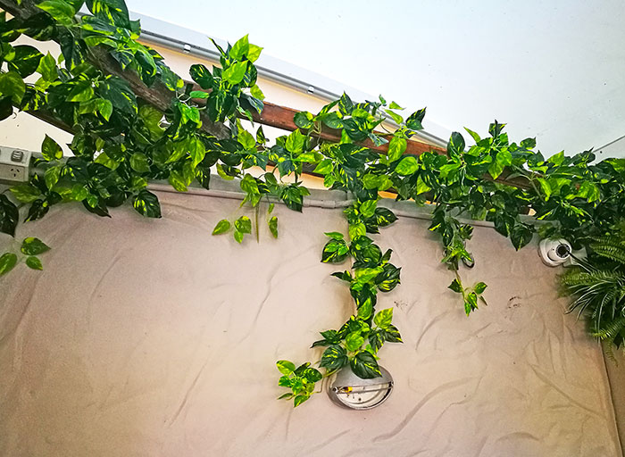 Cafe goes Green