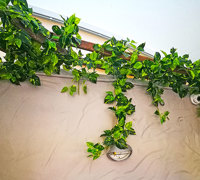 Cafe goes Green