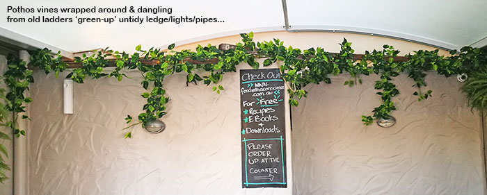 Cafe goes Green