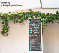 Cafe goes Green