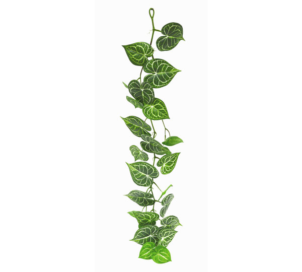 Bushes..sml trailer- Caladium green-white