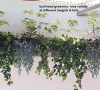 New Shopping Precinct's effective use of overhead Greenery...