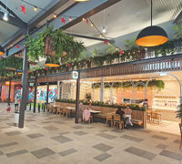 New Shopping Precinct's effective use of overhead Greenery...