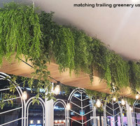 New Shopping Precinct's effective use of overhead Greenery...
