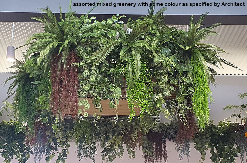 New Shopping Precinct's effective use of overhead Greenery...